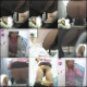 An excellent, voyeuristic, Japanese multi-cam pooping video featuring many different women shitting into a floor toilet and then seen primping themselves in the restroom mirror. About an hour. 282MB, MP4 file requires high-speed Internet.